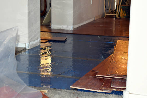Professional Basement Flood Cleanup technician working in Fairview, PA